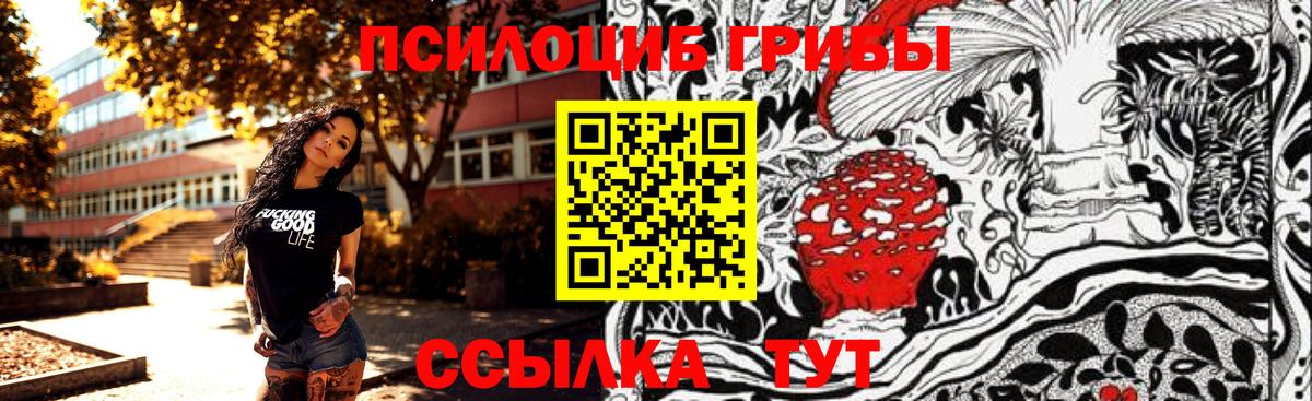 Галлюциногенные грибы GOLDEN TEACHER Тимашёвск