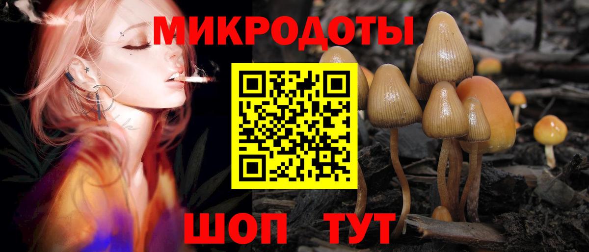 Тимашёвск  Псилоцибиновые грибы прущие грибы  Псилоцибиновые грибы Cubensis  Вход с VPN 